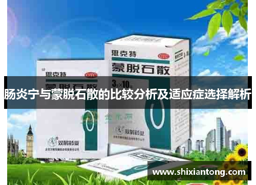 肠炎宁与蒙脱石散的比较分析及适应症选择解析 肠炎宁与蒙脱石散的比较分析及适应症选择解析
